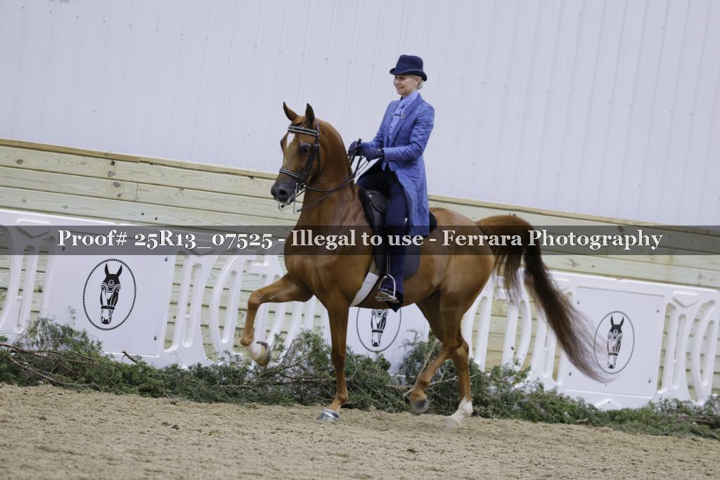 Proof 25R13_07525