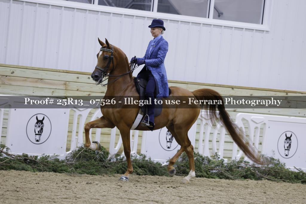 Proof 25R13_07526