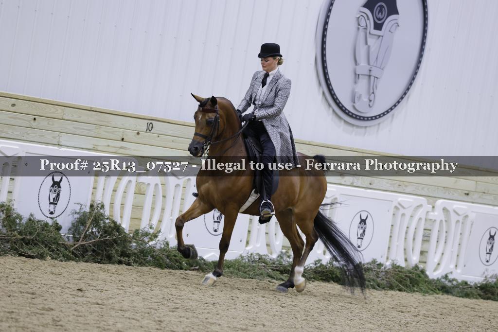 Proof 25R13_07527