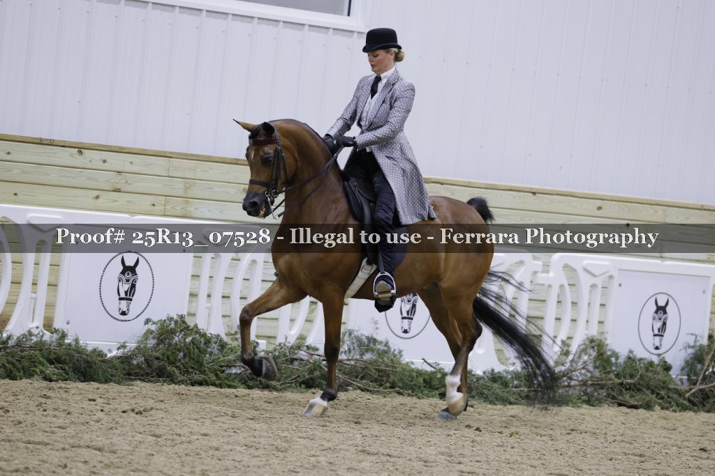 Proof 25R13_07528