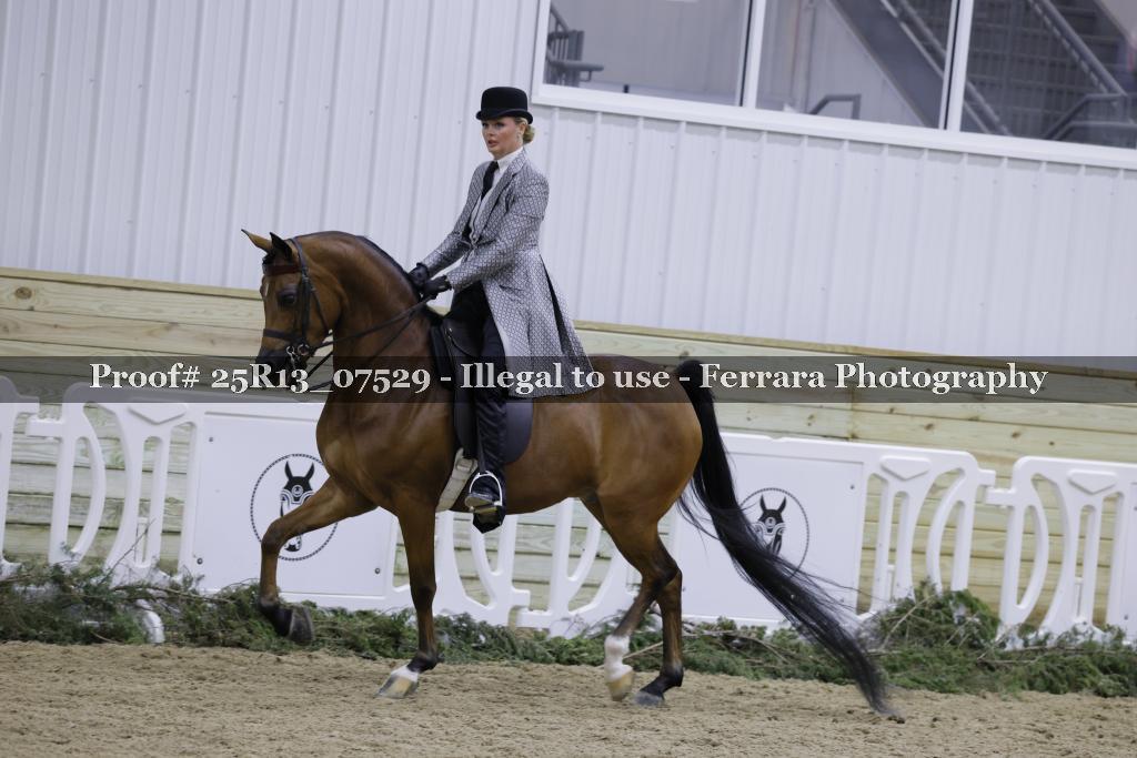 Proof 25R13_07529