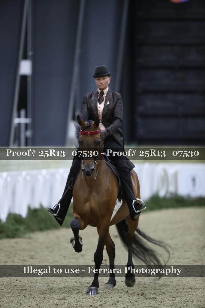 Proof 25R13_07530
