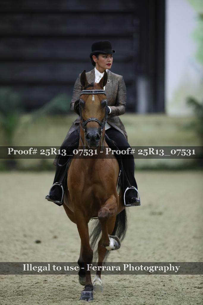 Proof 25R13_07531