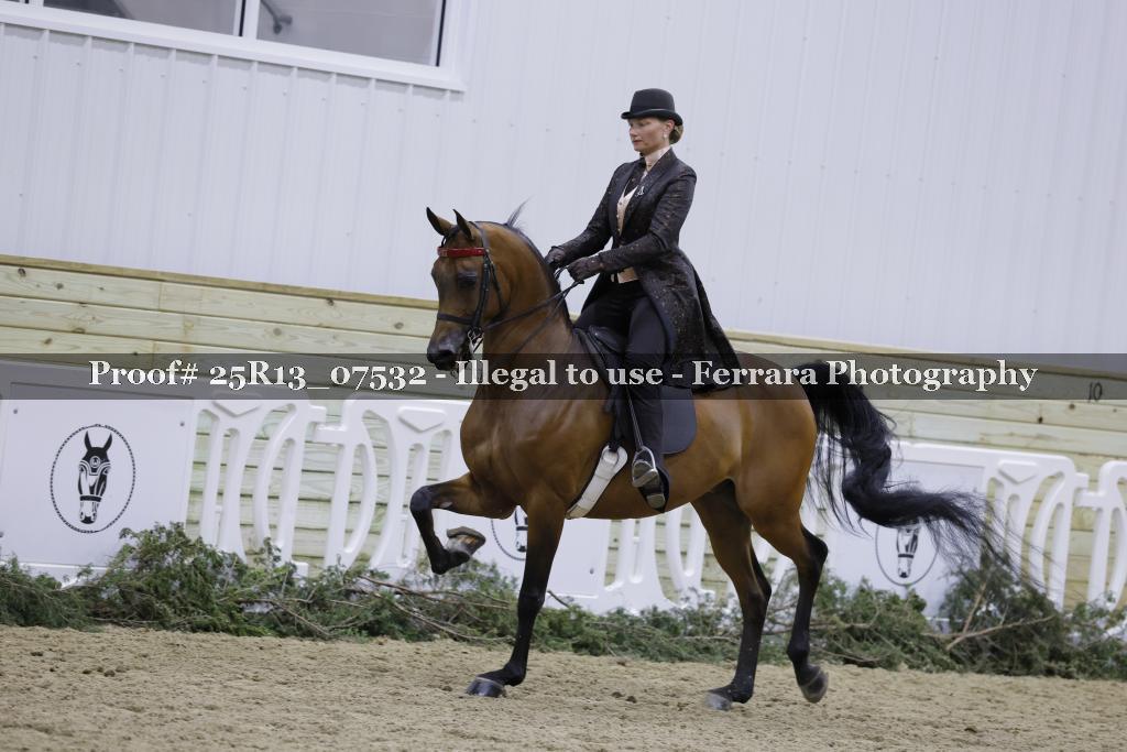 Proof 25R13_07532