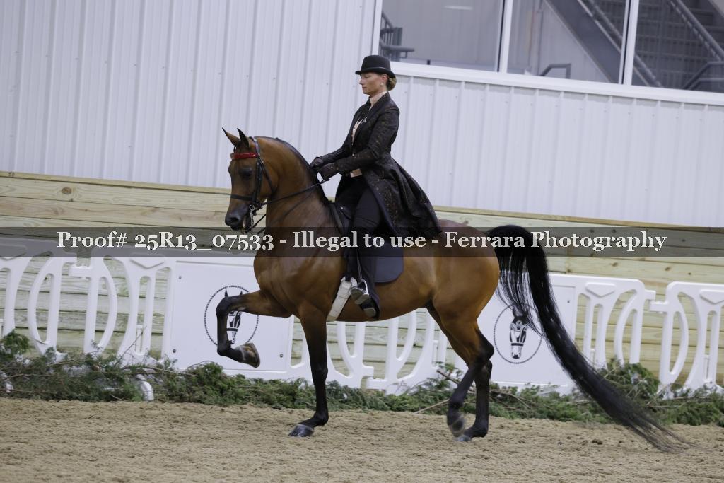 Proof 25R13_07533