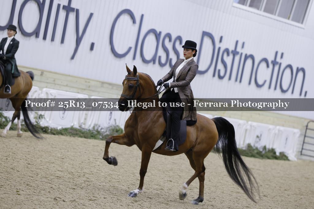 Proof 25R13_07534