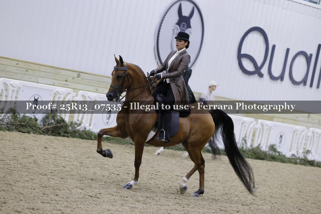 Proof 25R13_07535