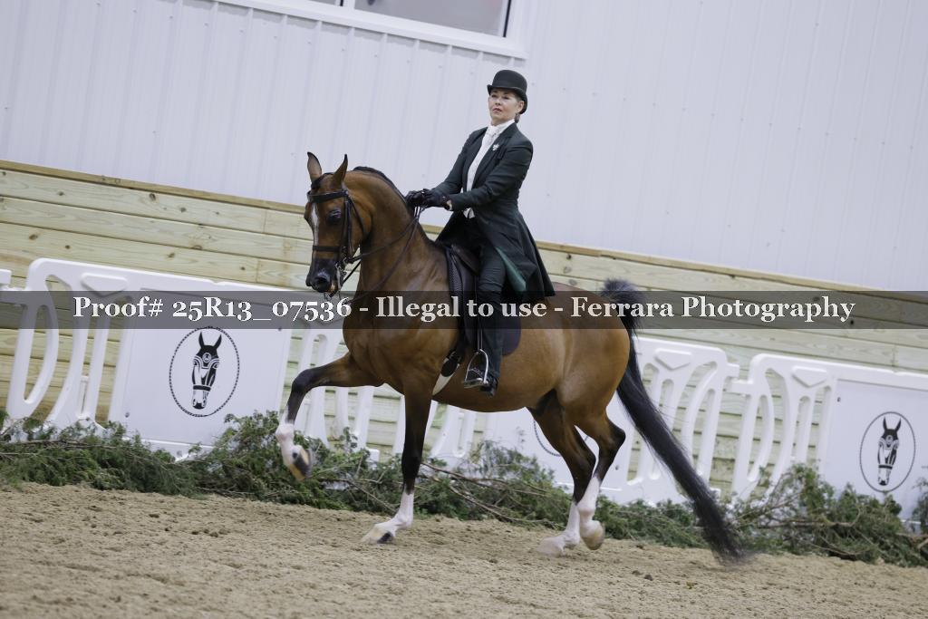 Proof 25R13_07536
