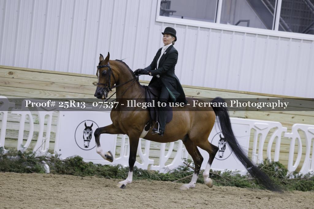 Proof 25R13_07537