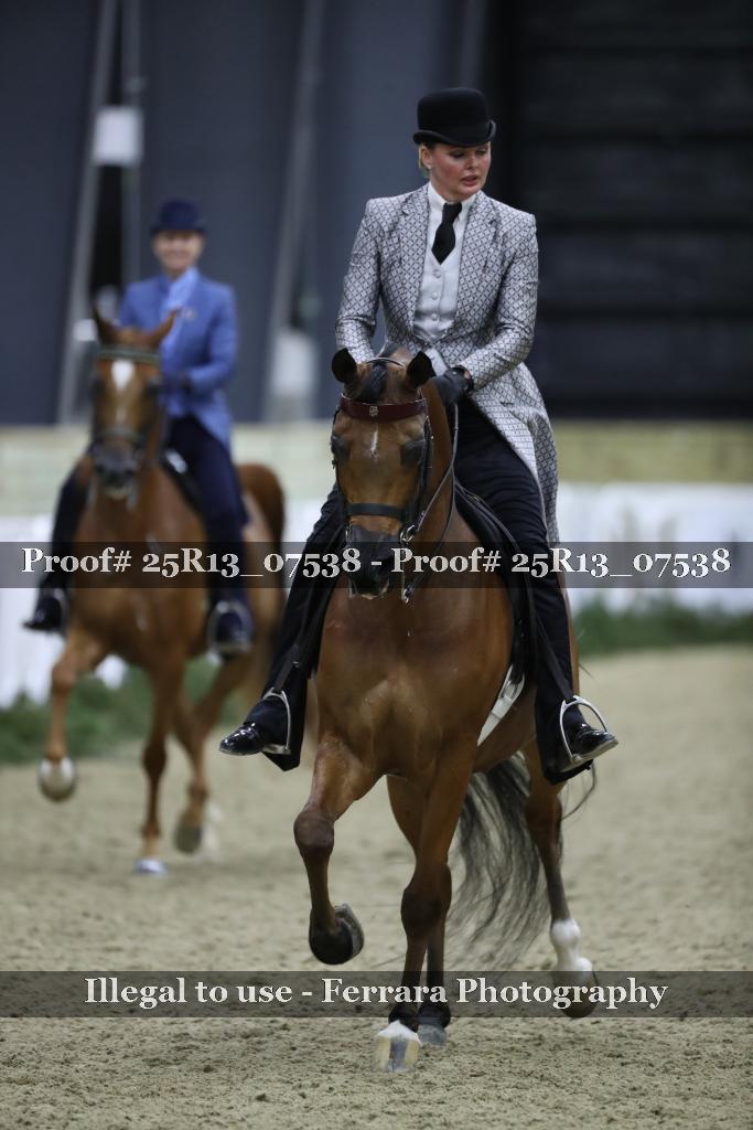 Proof 25R13_07538