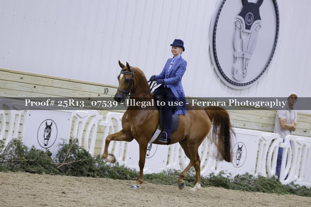 Proof 25R13_07539