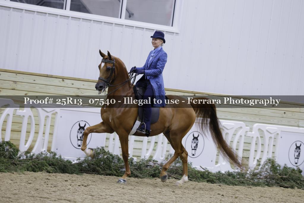 Proof 25R13_07540