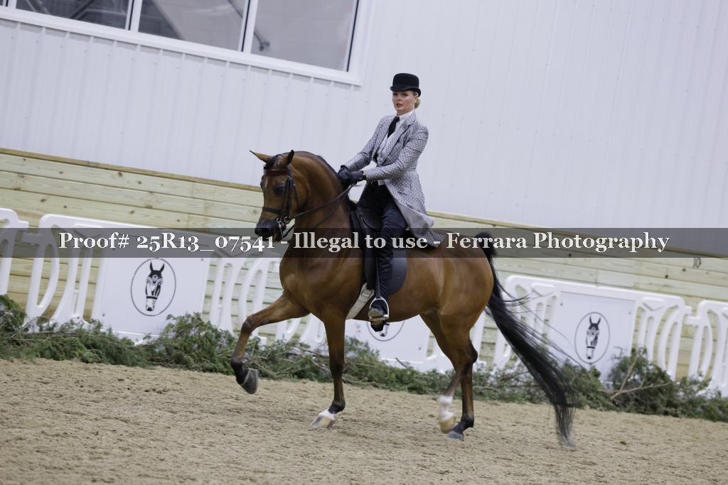 Proof 25R13_07541