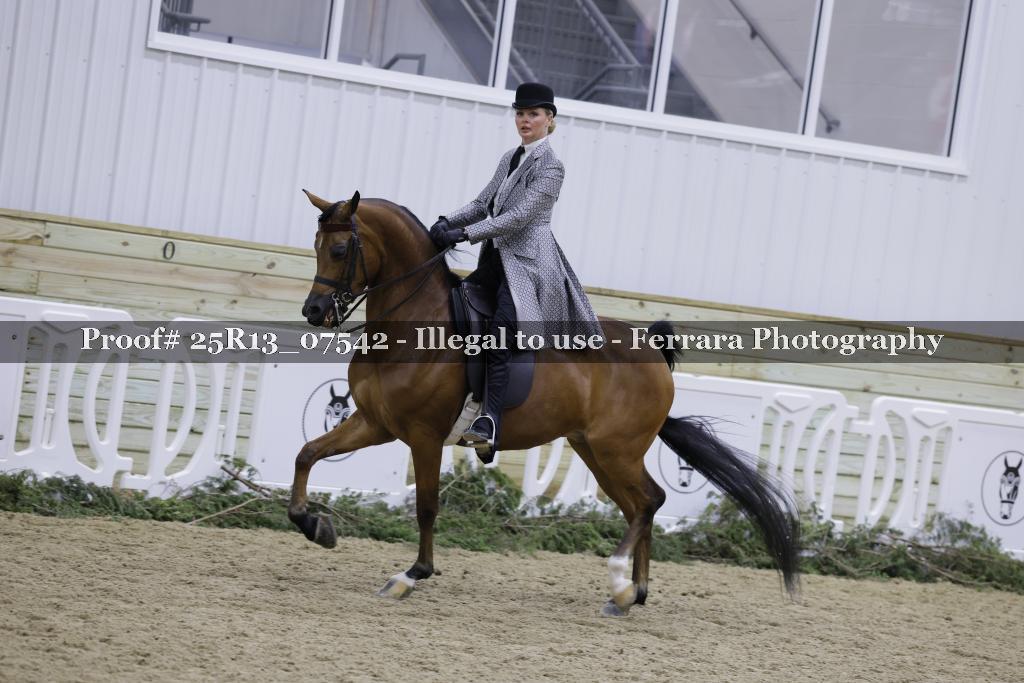 Proof 25R13_07542