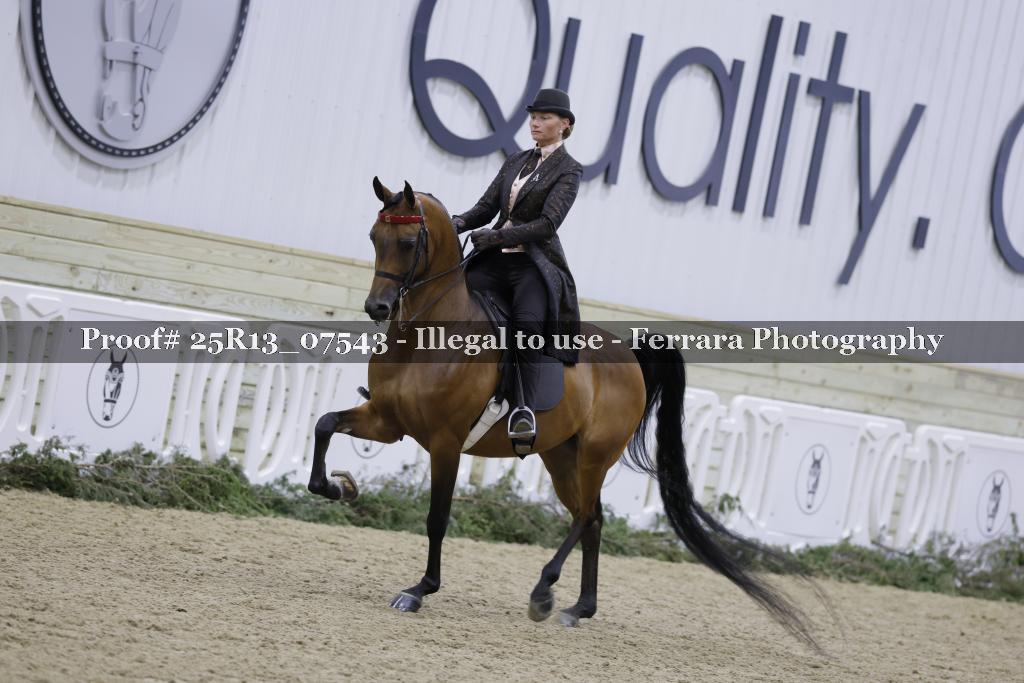 Proof 25R13_07543