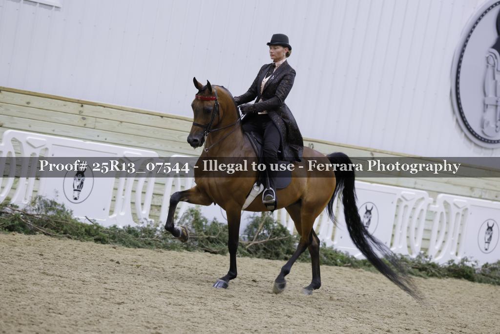 Proof 25R13_07544