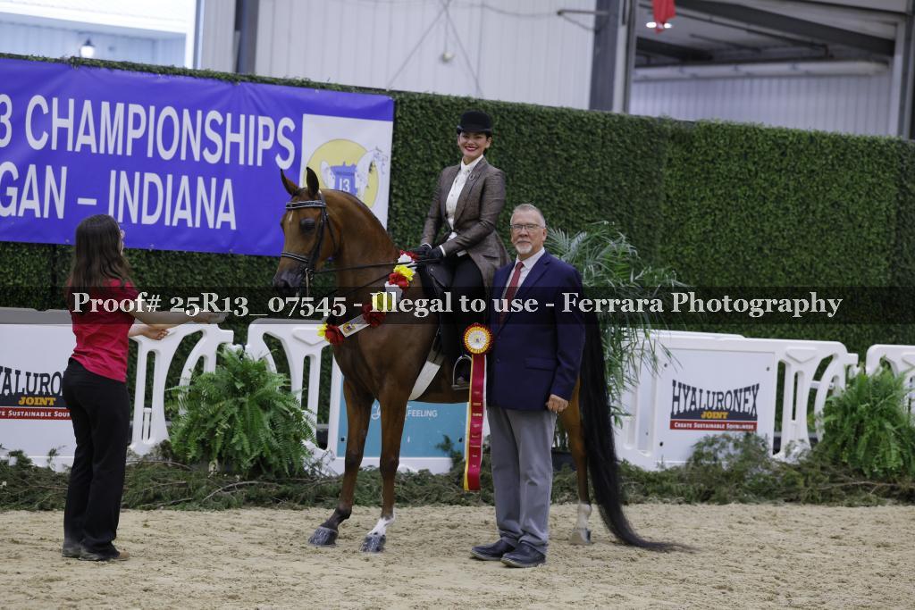 Proof 25R13_07545
