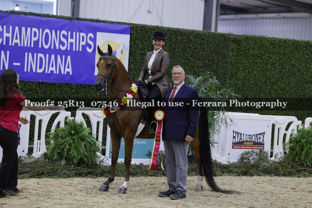 Proof 25R13_07546