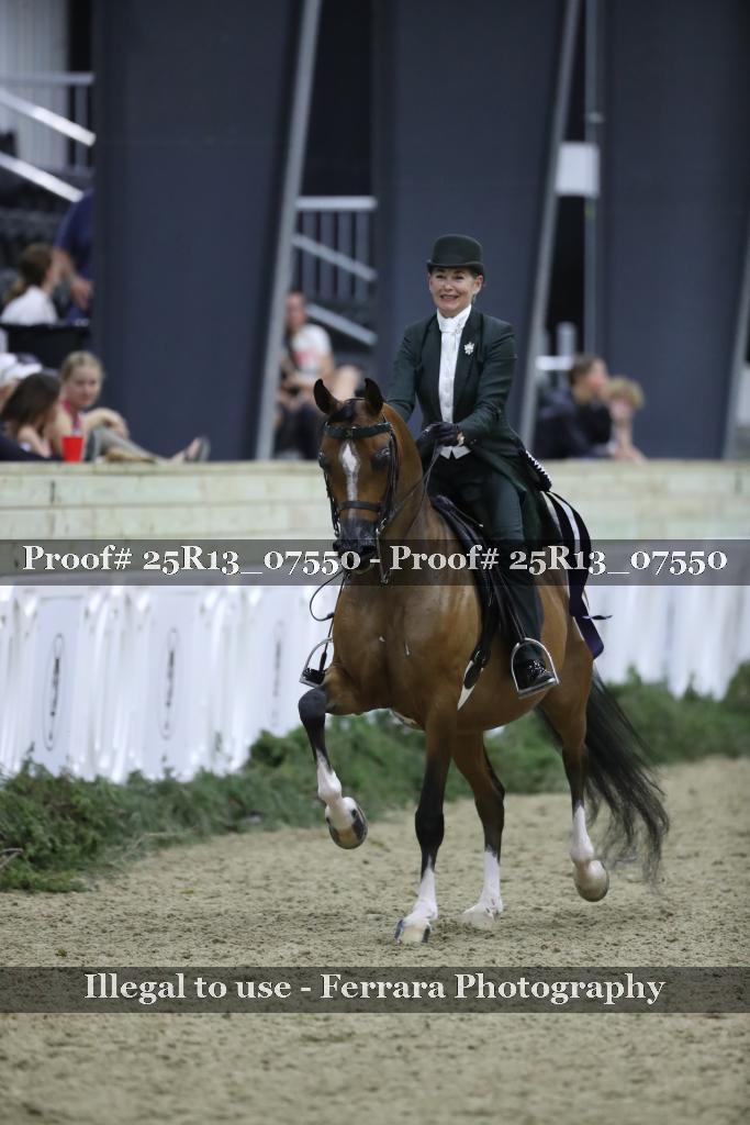 Proof 25R13_07550