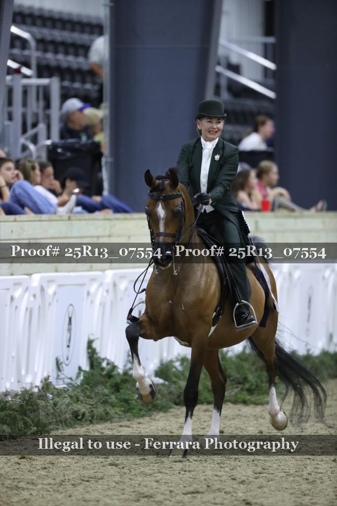 Proof 25R13_07554