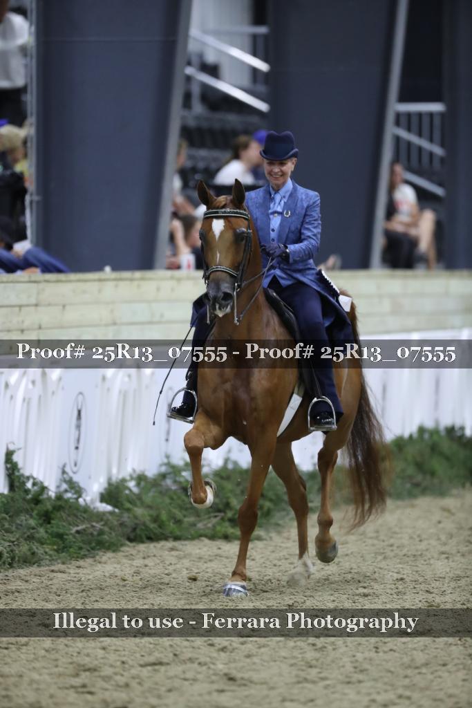 Proof 25R13_07555