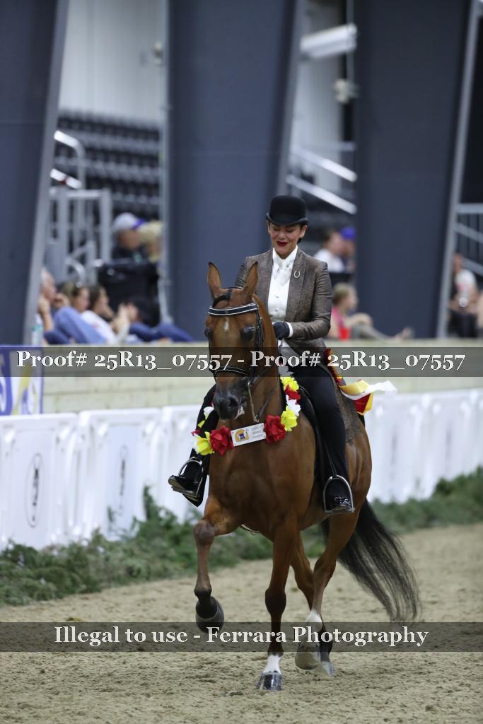 Proof 25R13_07557