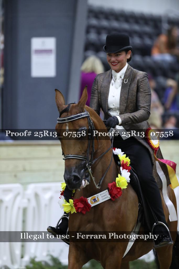 Proof 25R13_07558