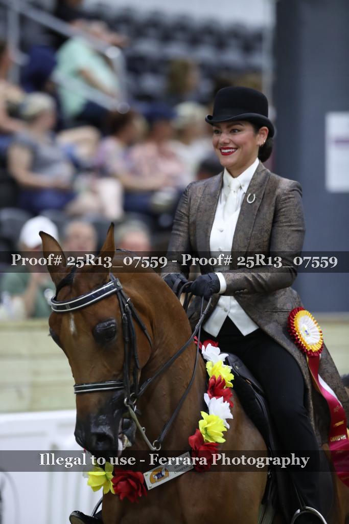 Proof 25R13_07559