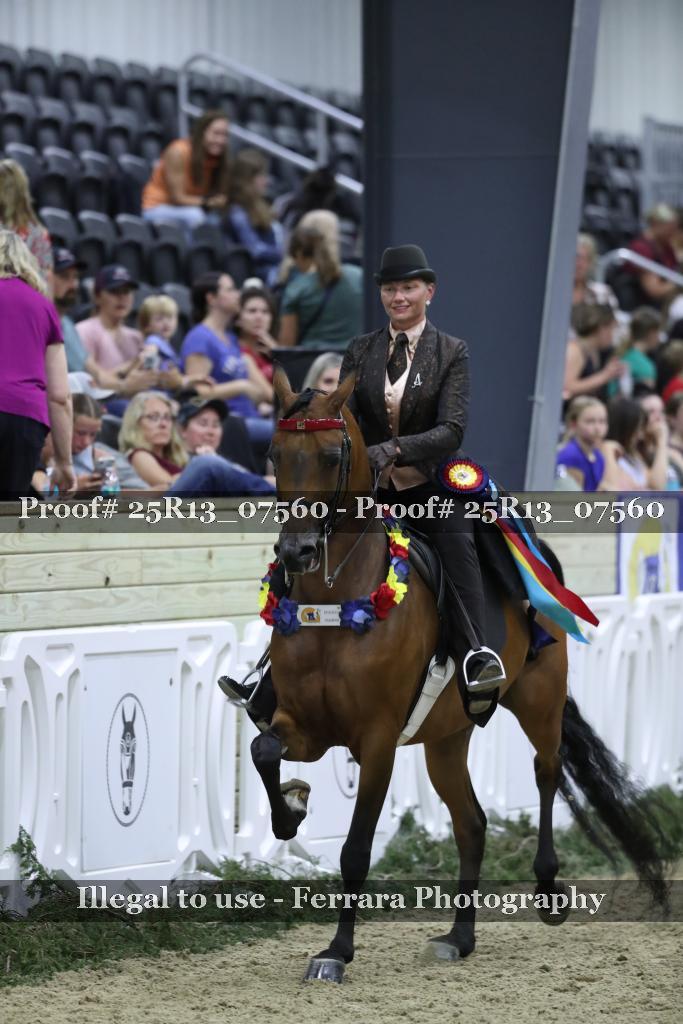Proof 25R13_07560