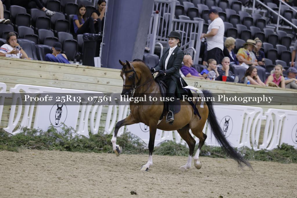 Proof 25R13_07561