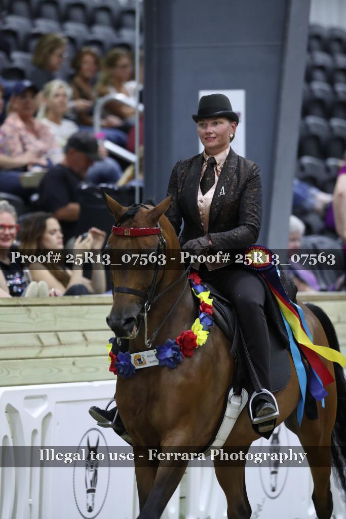 Proof 25R13_07563