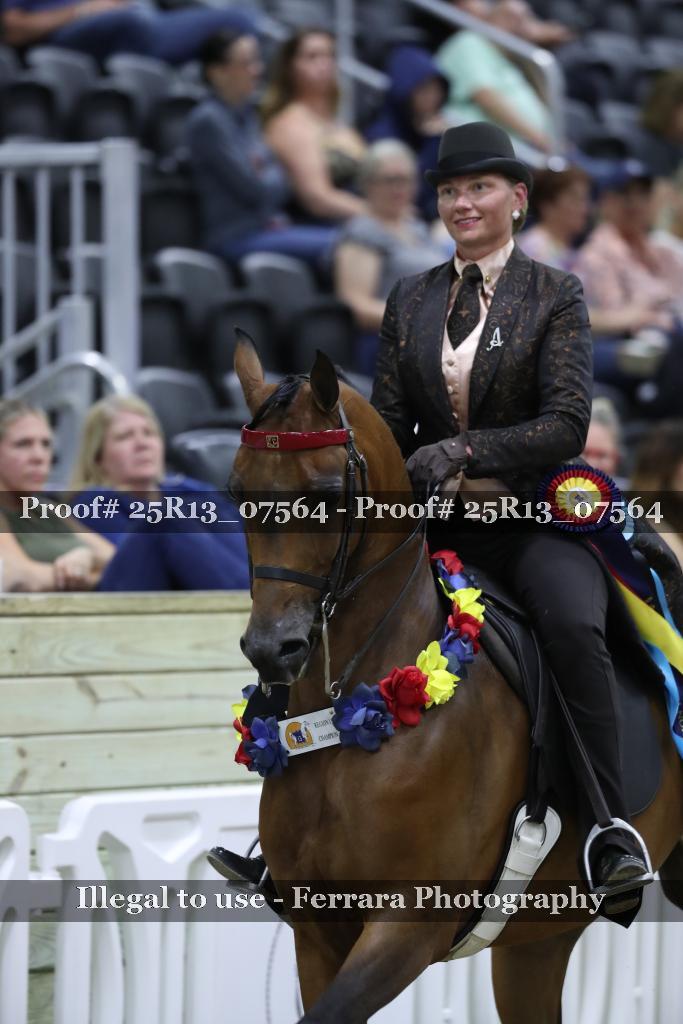 Proof 25R13_07564