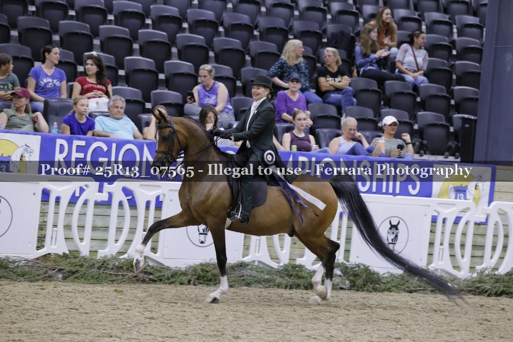 Proof 25R13_07565