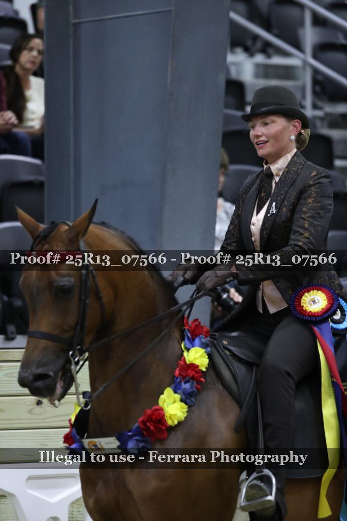 Proof 25R13_07566