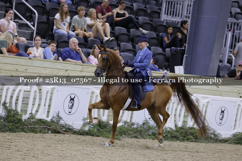 Proof 25R13_07567