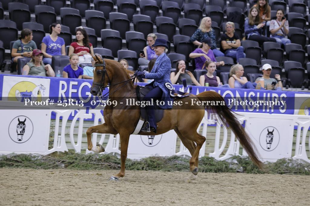 Proof 25R13_07569