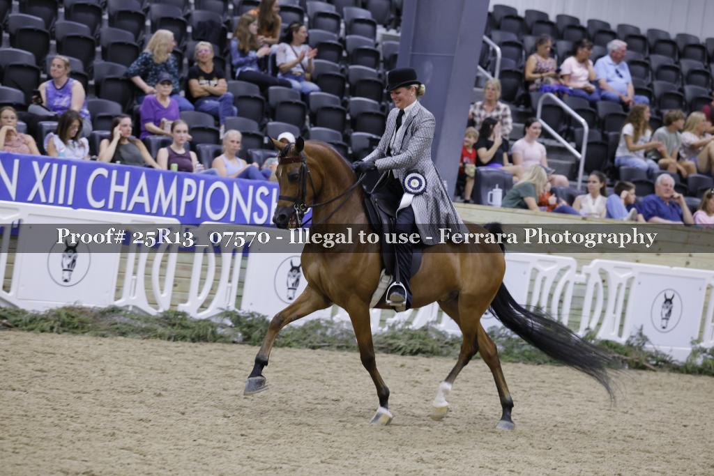 Proof 25R13_07570