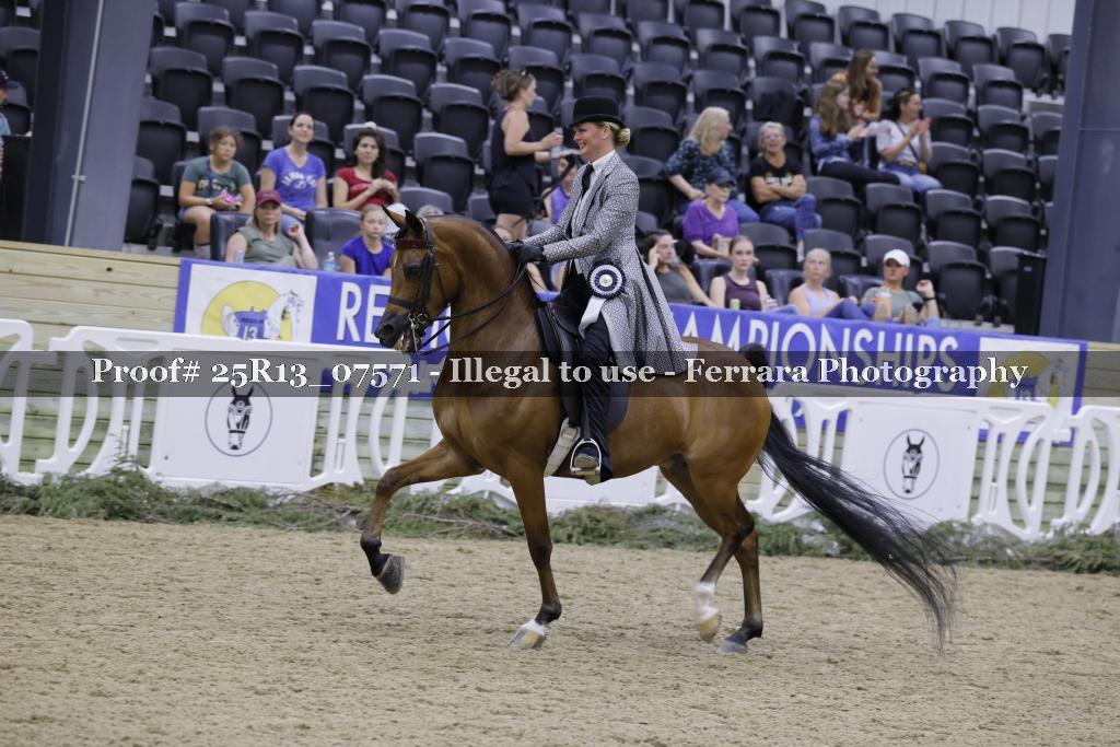 Proof 25R13_07571