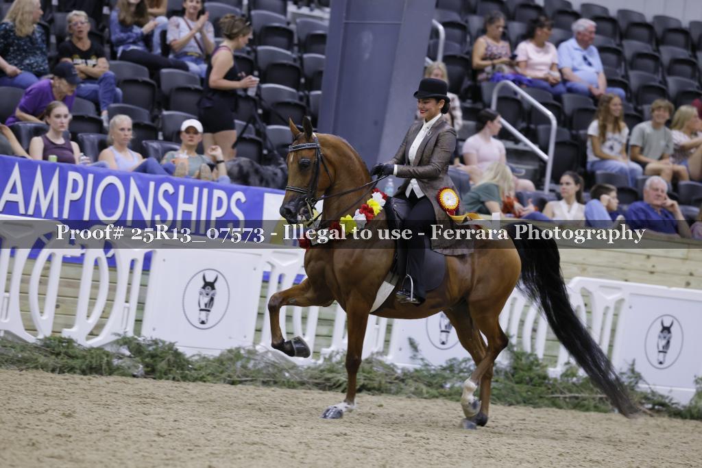 Proof 25R13_07573