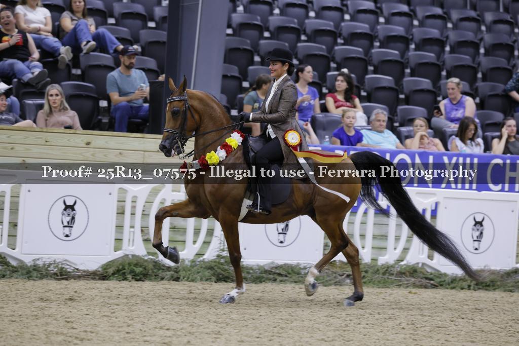 Proof 25R13_07575