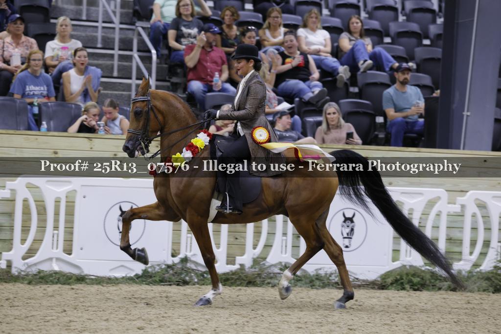 Proof 25R13_07576