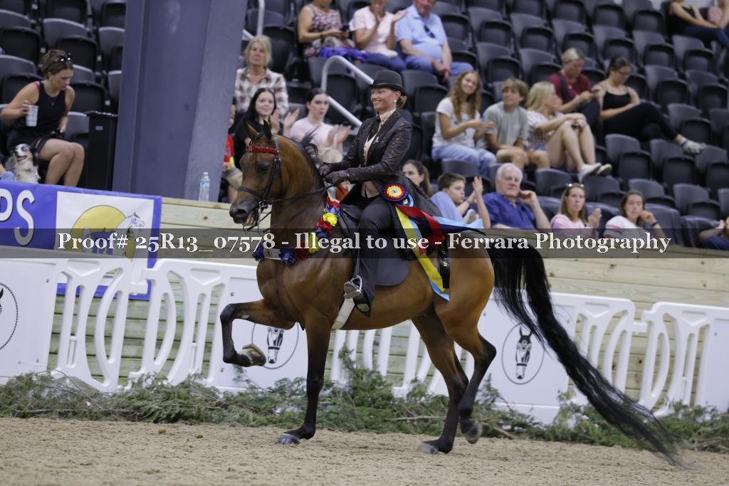 Proof 25R13_07578