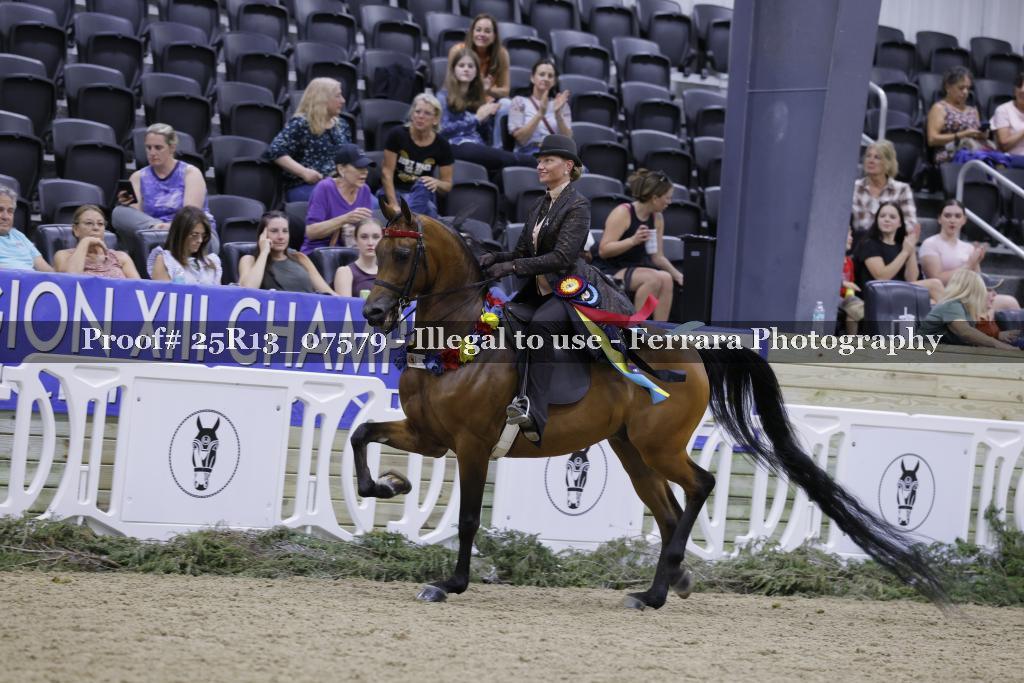 Proof 25R13_07579