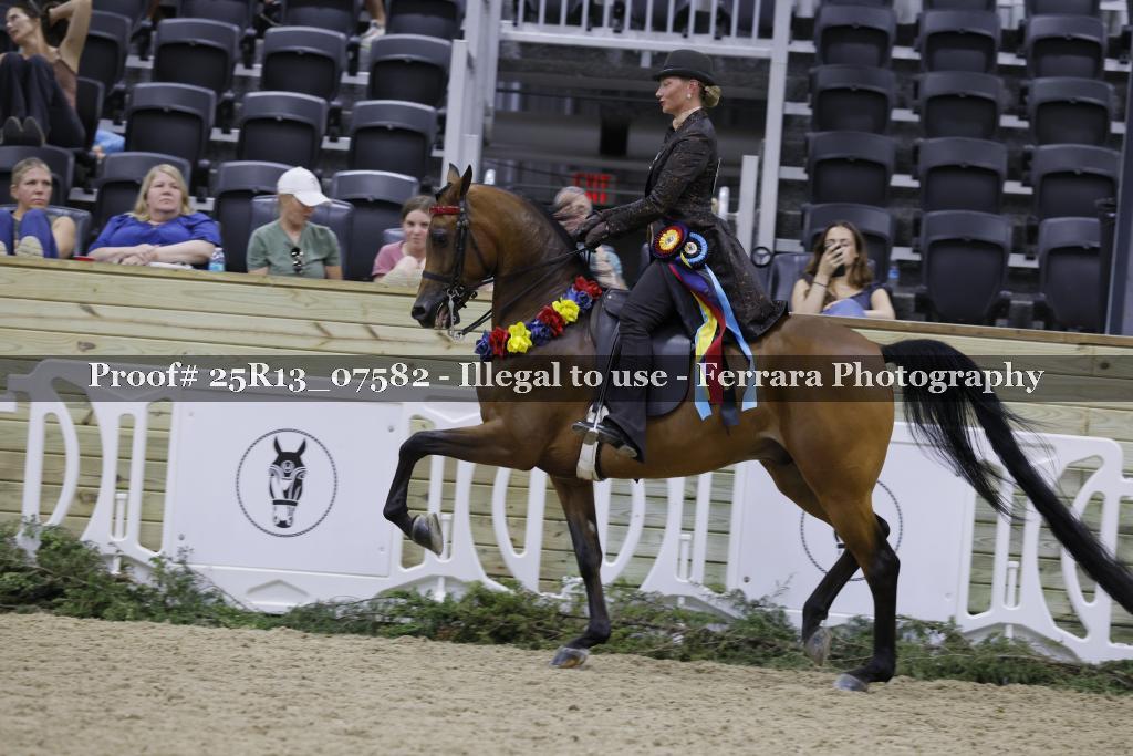 Proof 25R13_07582