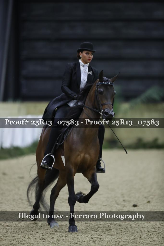 Proof 25R13_07583