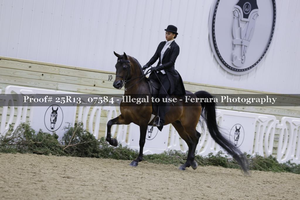 Proof 25R13_07584