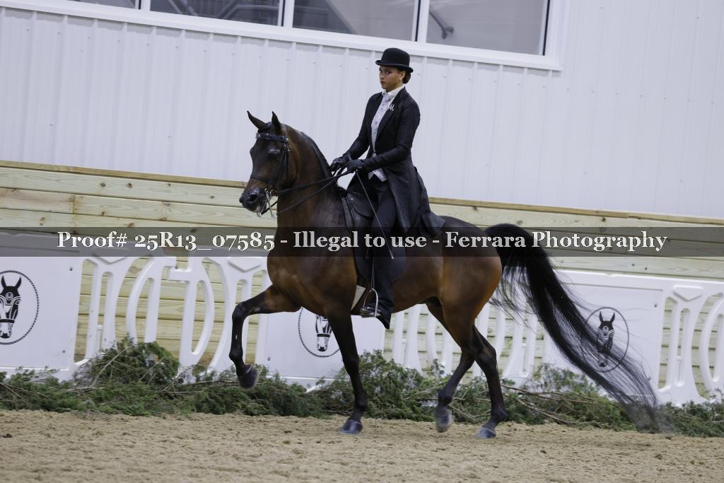 Proof 25R13_07585
