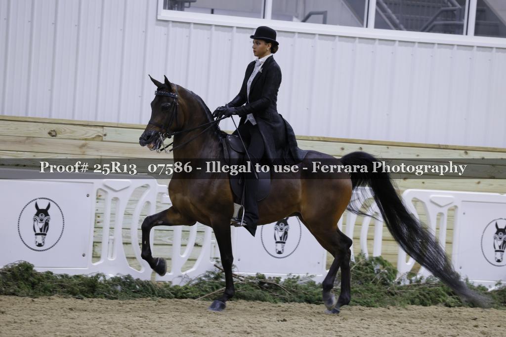 Proof 25R13_07586