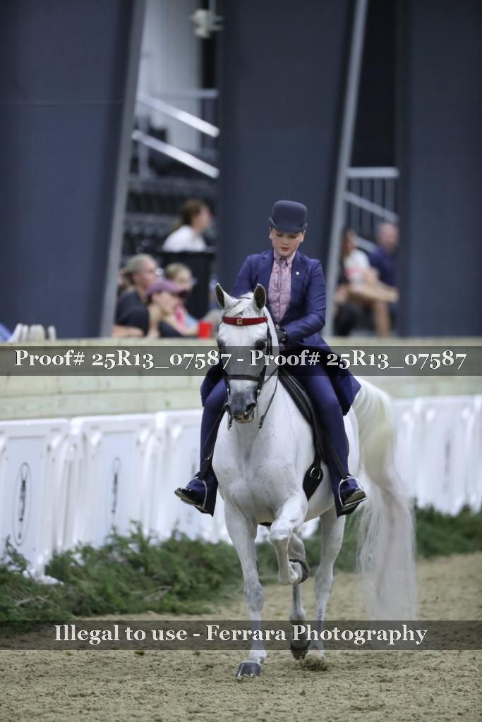 Proof 25R13_07587