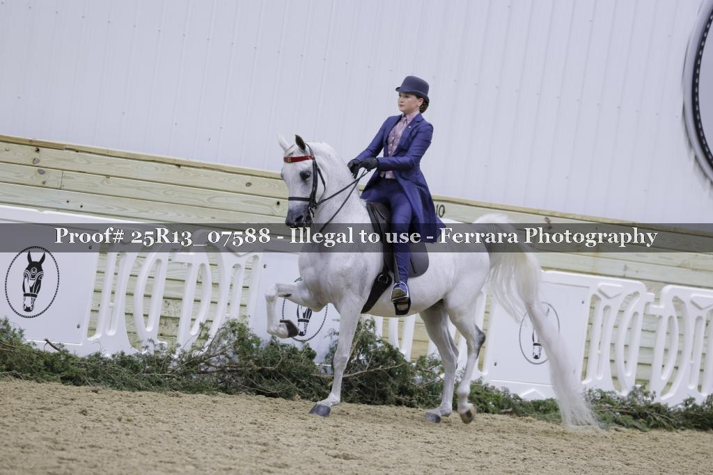 Proof 25R13_07588